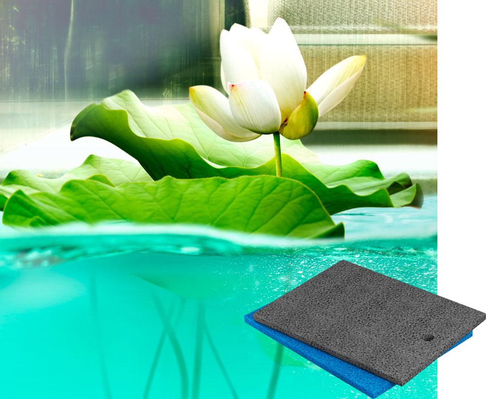 Pond-Accesories