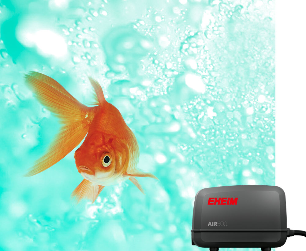 Pond aerators