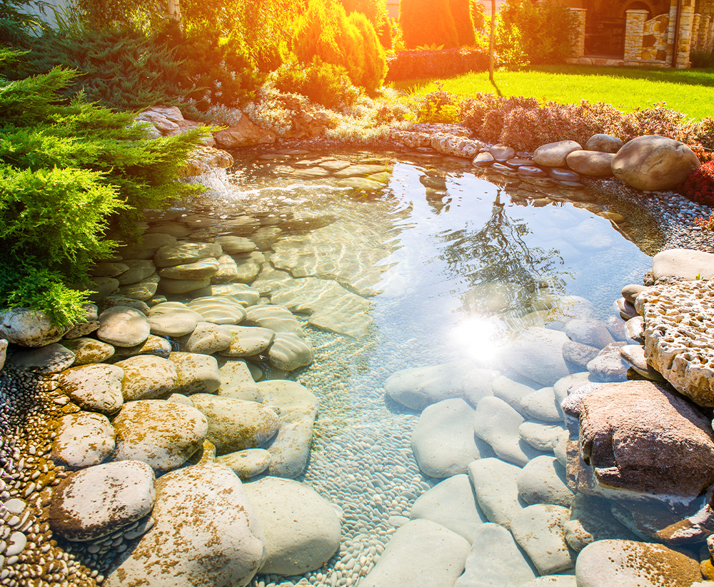Garden pond