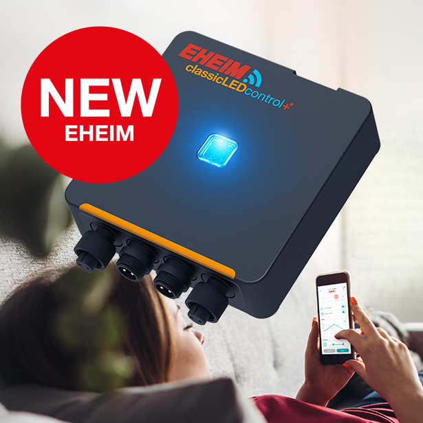 Beleuchtungssteuerung