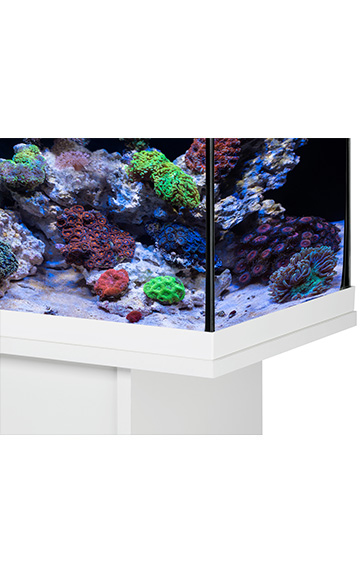 Aquastar_63_marine_weiss_Sockel