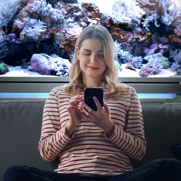 Aquarien - Meerwasser